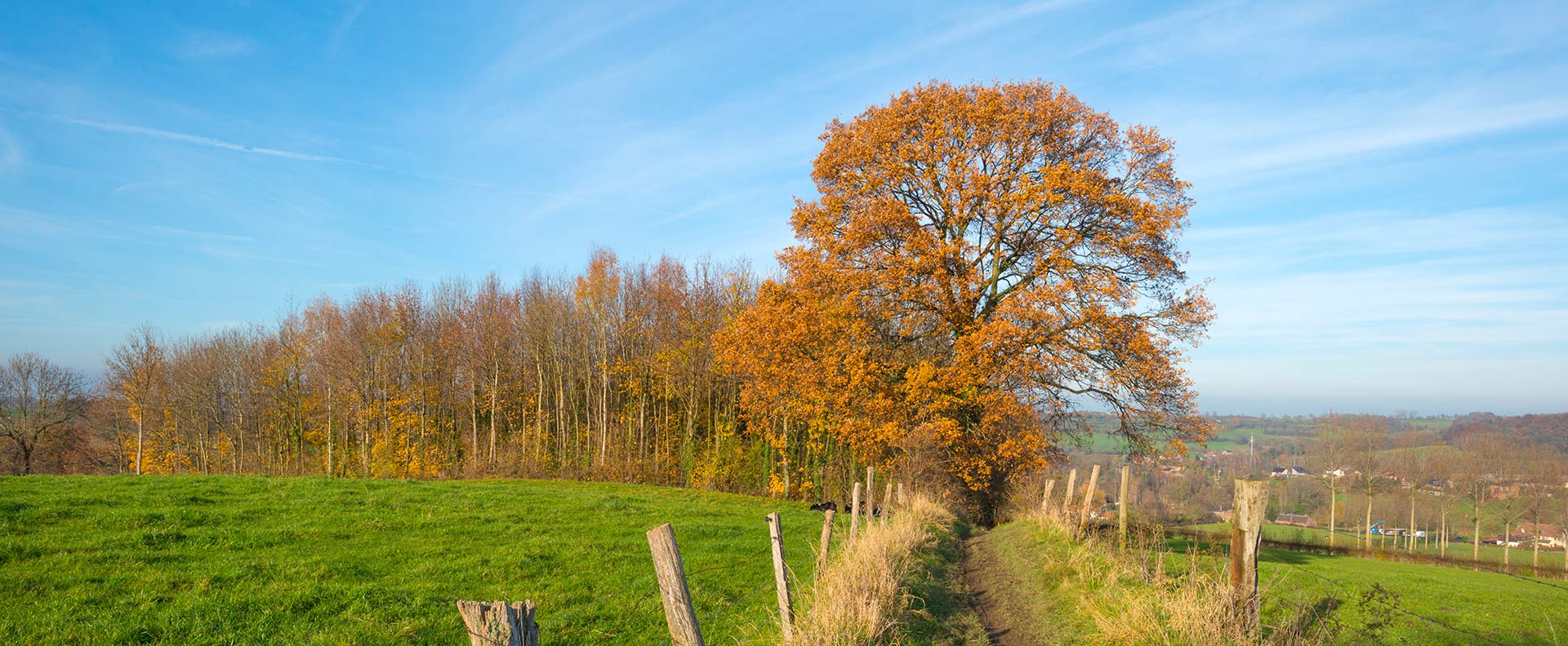 Herbstlandschaft