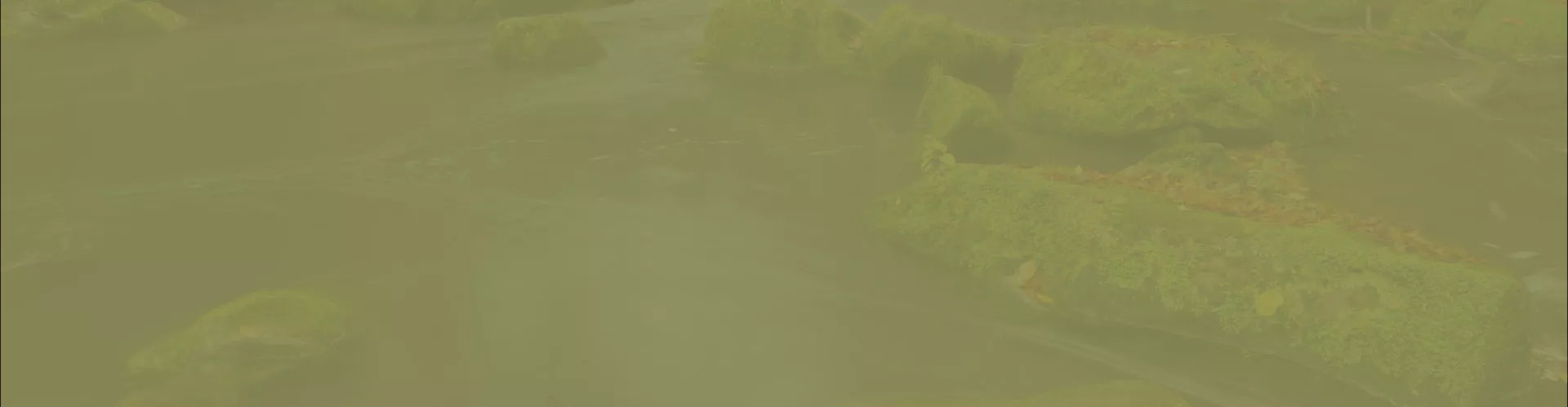 hintergrund-footer-1